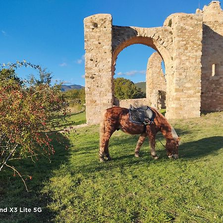 Gite A La Ferme Ongles Εξωτερικό φωτογραφία