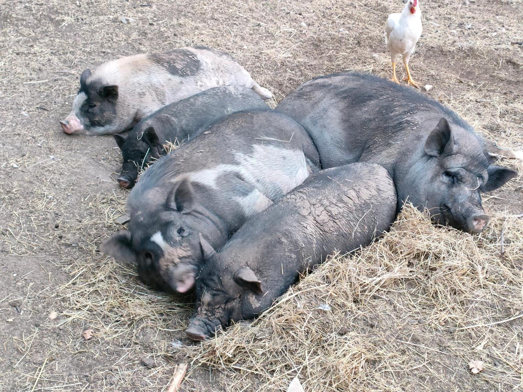 Gite A La Ferme Ongles Εξωτερικό φωτογραφία