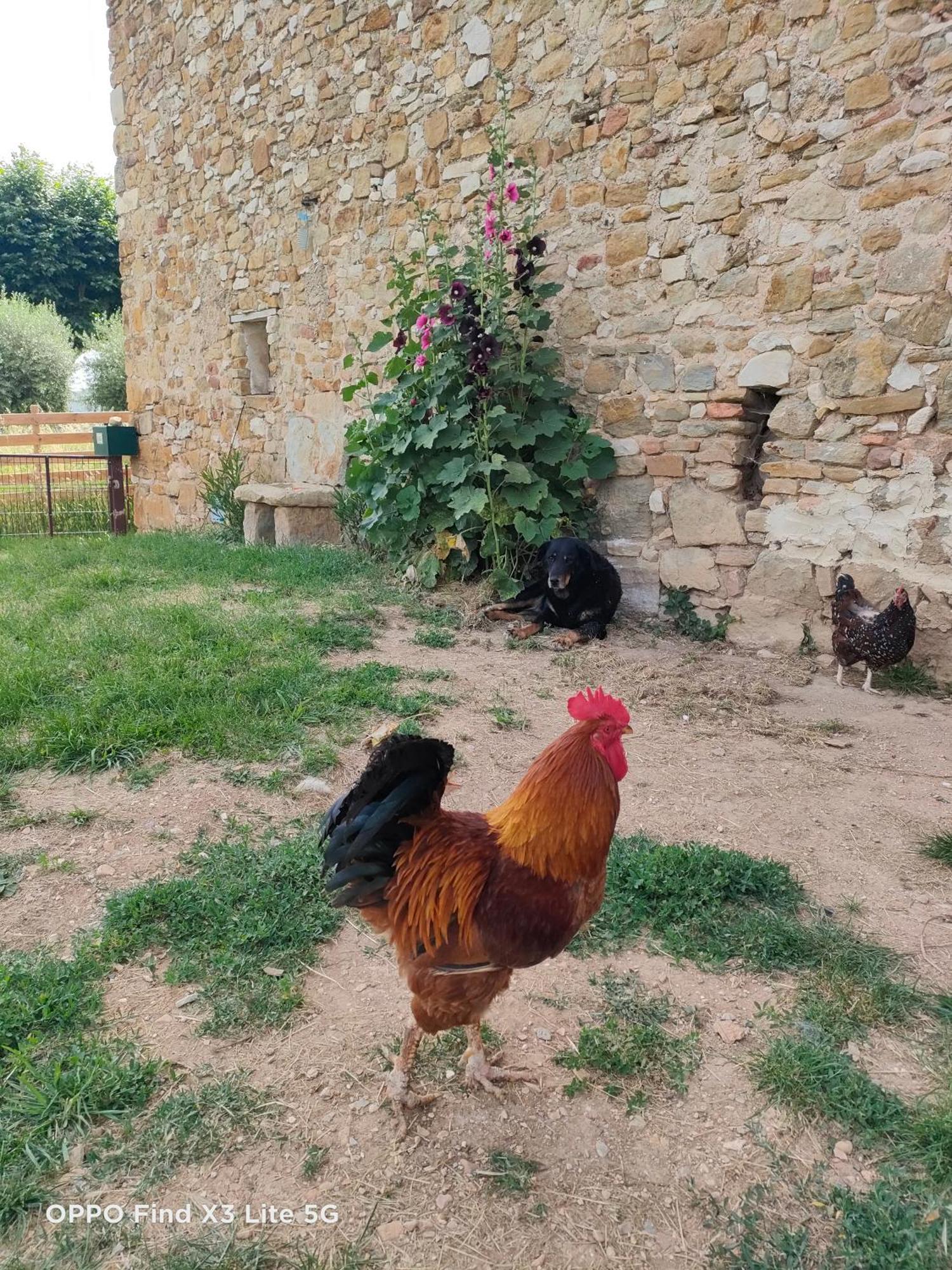 Gite A La Ferme Ongles Εξωτερικό φωτογραφία